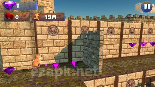 Hamstrong: Castle run