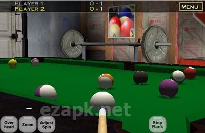 Virtual Pool Online