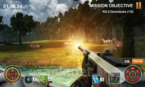 Hunting safari 3D