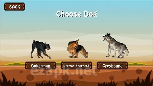 Doggy dog world