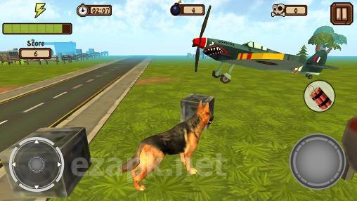 Doggy dog world
