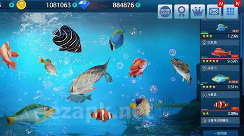 Fishing championship