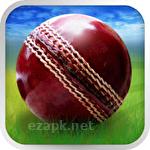 Cricket World Cup Fever HD