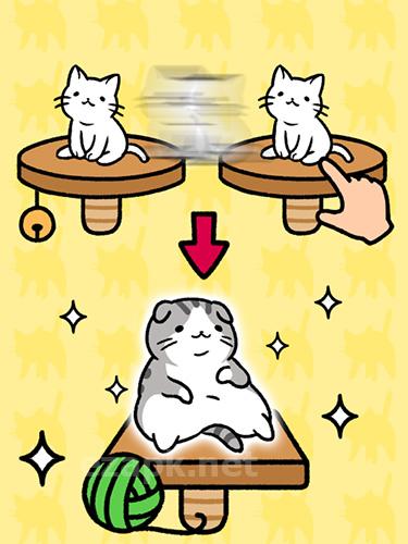 Cat condo