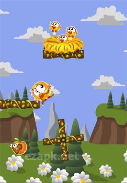 Hungry Chicks