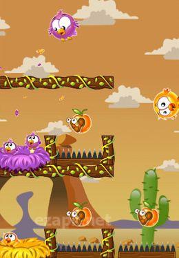 Hungry Chicks