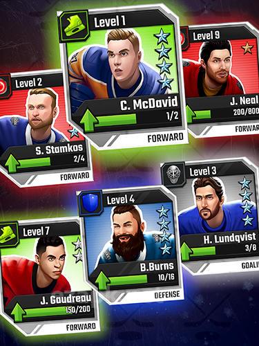 Puzzle hockey