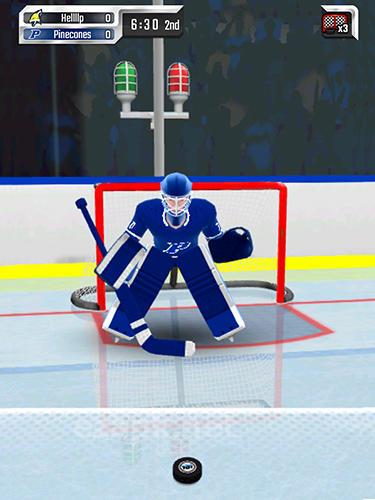 Puzzle hockey