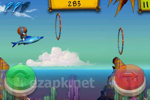 Nimp dash