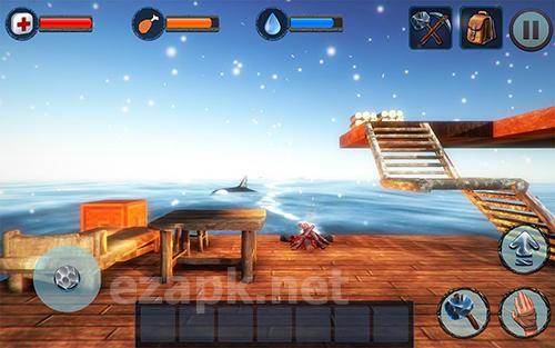 Winter survival on raft 3D