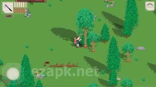 On my own: Woodland survival adventure