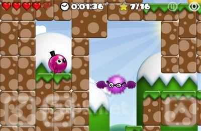 Blib Blob