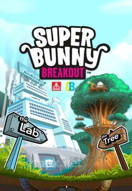 Super Bunny Breakout