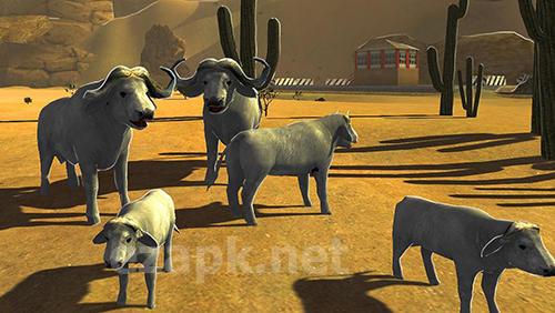Buffalo sim: Bull wild life