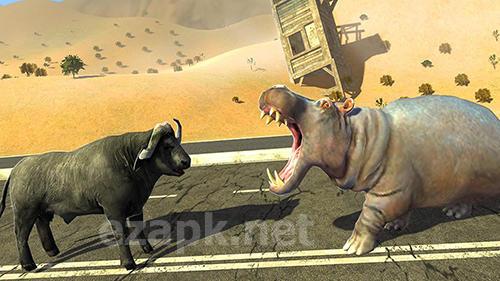 Buffalo sim: Bull wild life