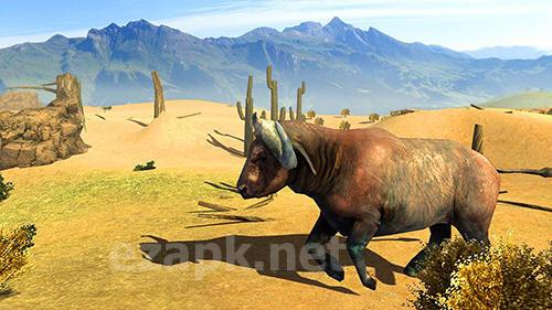 Buffalo sim: Bull wild life