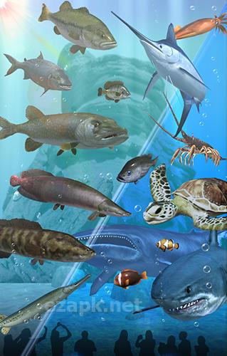 Fishing season: River to ocean