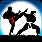 Karate fighter: Real battles