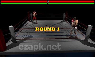 Ultimate 3D Boxing Game