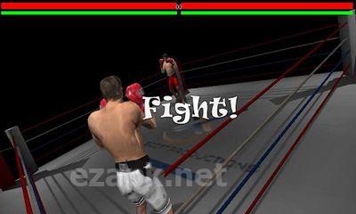 Ultimate 3D Boxing Game