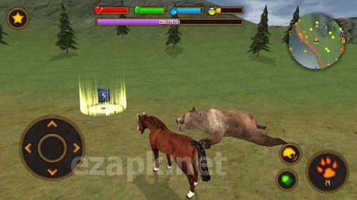 Clan of horse