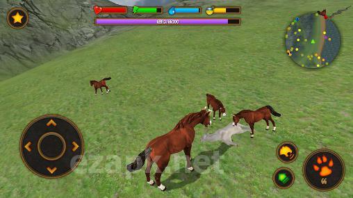 Clan of horse