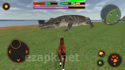 Clan of horse