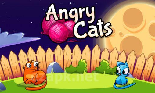 Angry cats