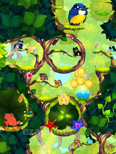 Flutter: Butterfly sanctuary