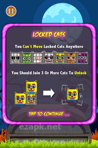 Bad cats!