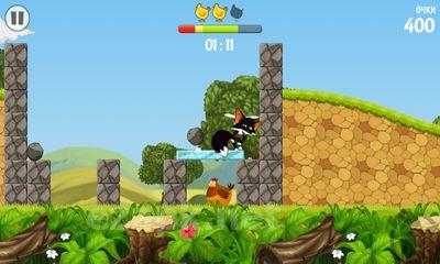 Flying Fox