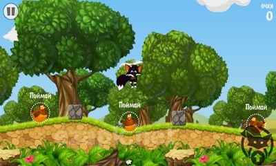 Flying Fox