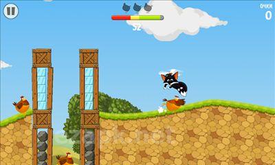 Flying Fox