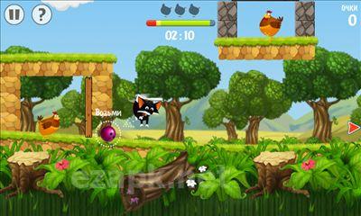 Flying Fox