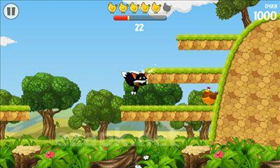 Flying Fox