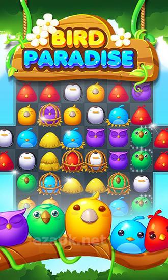 Bird paradise
