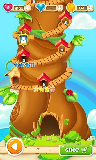 Bird paradise