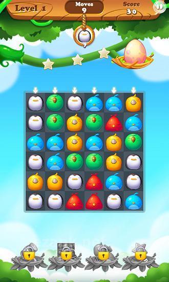 Bird paradise