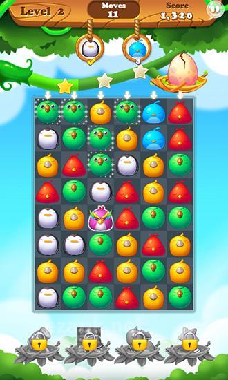 Bird paradise