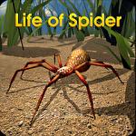 Life of spider
