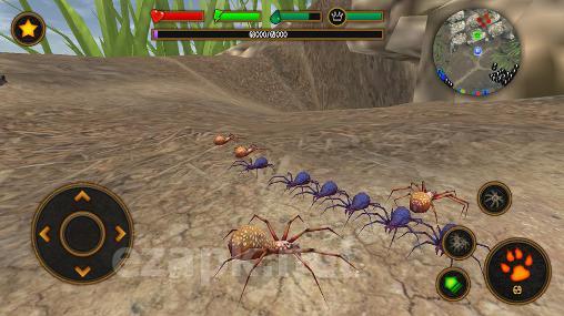 Life of spider