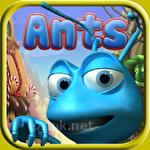 Ants SteelSeed