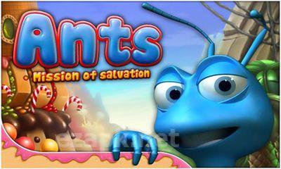 Ants SteelSeed