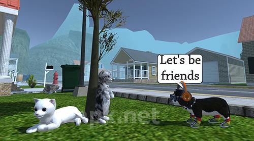 Cat simulator: Animal life