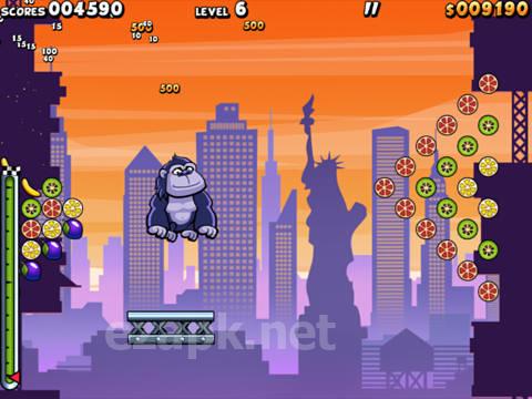 Air monkeys in New York
