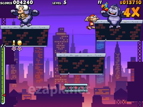 Air monkeys in New York
