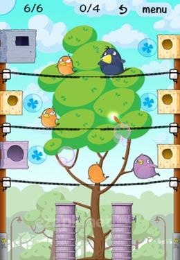 Lucky Birds City