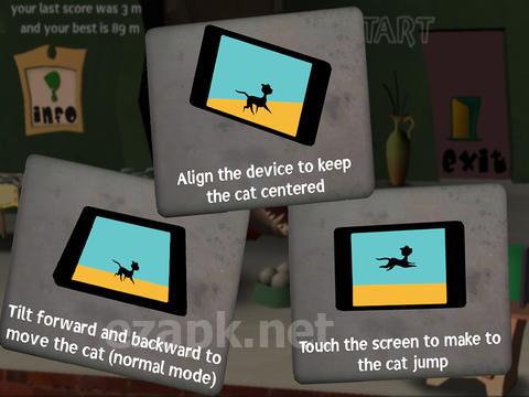 Cat Escape