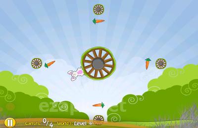 Bunny Spin