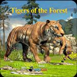 Tigers of the forest